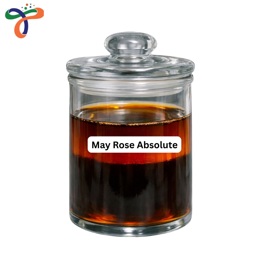 May Rose Absolute